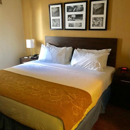 The Vue Inn Brooklyn نيو يورك المظهر الخارجي الصورة