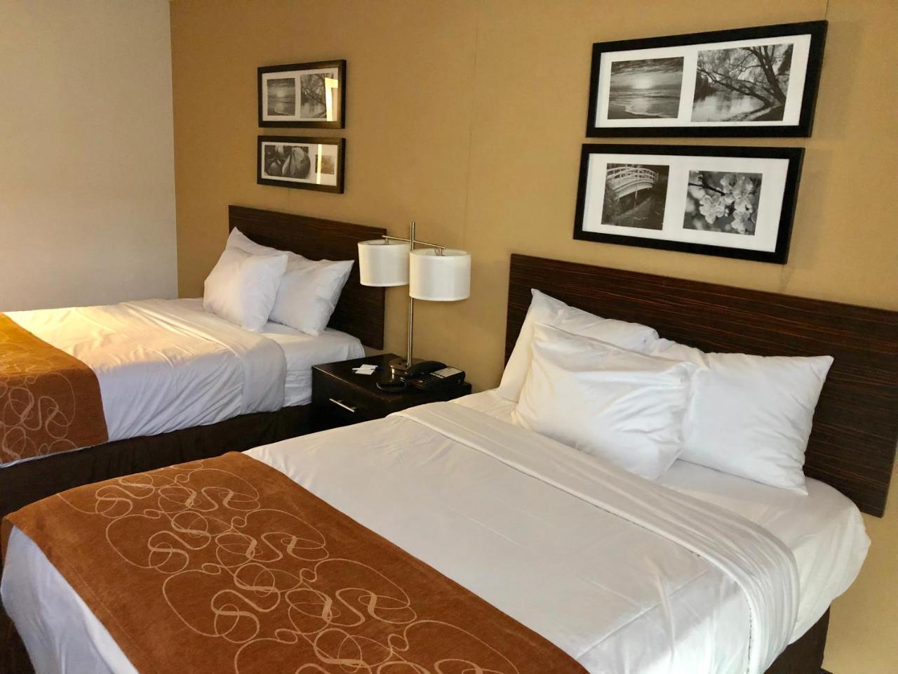 The Vue Inn Brooklyn نيو يورك المظهر الخارجي الصورة